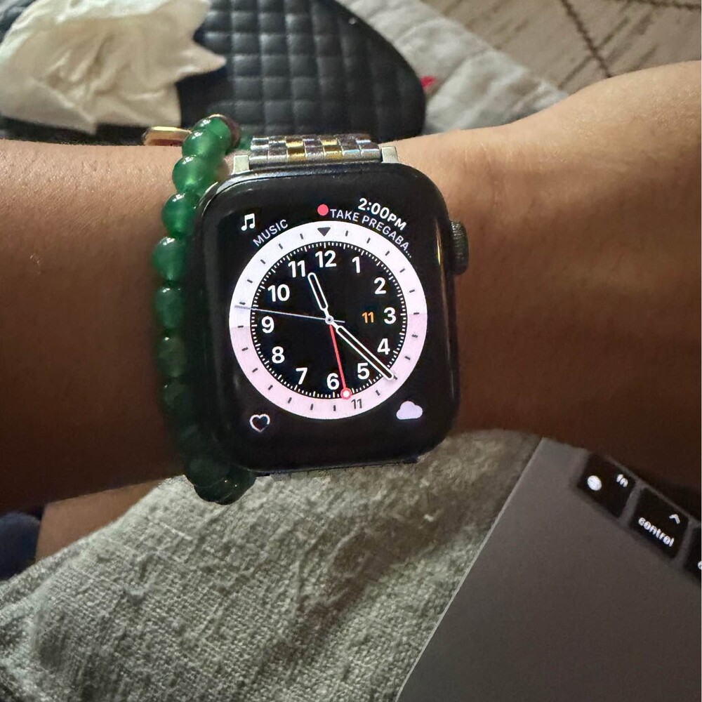 Apple Watch SE with Two-Tone Metal Band
